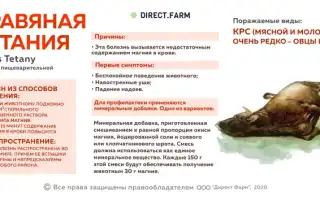 Тетания