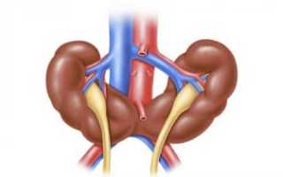 Нефросклероз