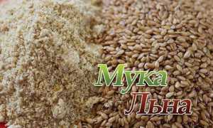 Льняная мука для похудения: применение, рецепты