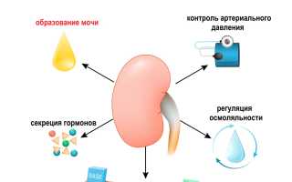 Уремия