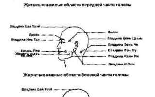 Багуа Циньна. Пределы движения головы, шеи и торса
