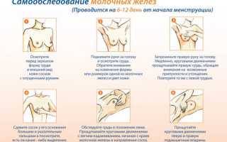 Как следить за состоянием молочных желез?