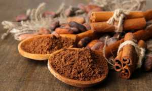 Полезные рецепты с корицей для похудения