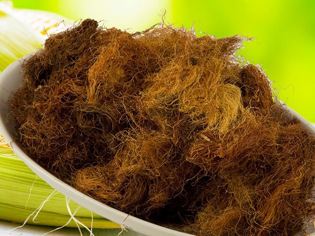 Рыльца кукурузные для похудения