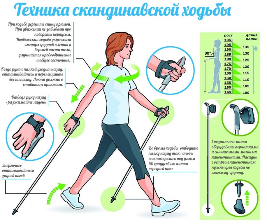 Техника скандинавской ходьбы - как ходить правильно