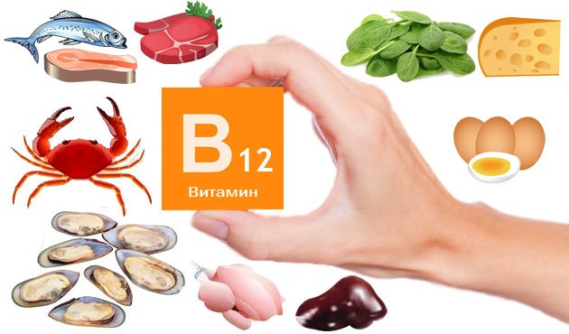 В каких продуктах содержатся витамины A, B, C, D, E?