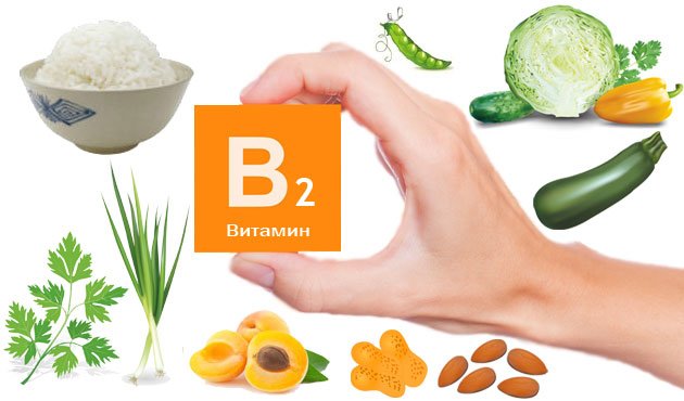 В каких продуктах содержатся витамины A, B, C, D, E?