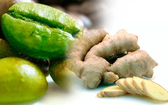 Зеленый кофе для похудения