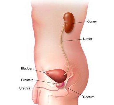 Симптомы уретрита