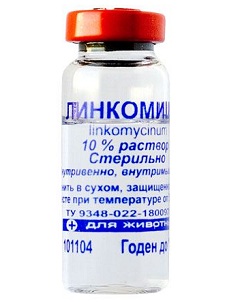 Линкомицин Линкомицин раствор 10%