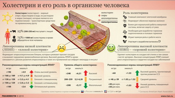 Холестериноснижающие напитки и специи